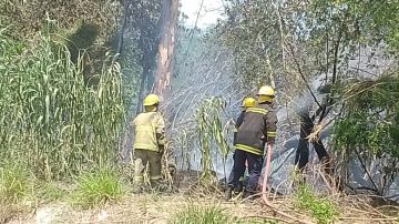 Bomberos controlan peligroso incendio de pastizales en el barrio Siglo XXI