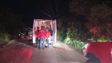 Pudo ser una tragedia: iba a trabajar en moto y le cayó un árbol encima