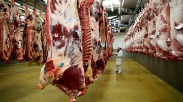 Cada vez más familias argentinas eligen comprar media res de carne para ahorrar dinero