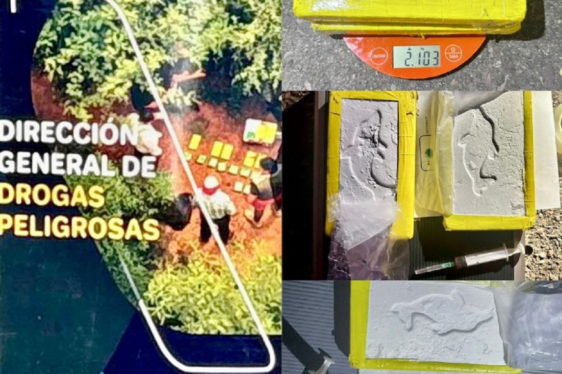 Campo Gallo: narcotraficantes abandonaron paquetes de cocaína en la banquina de la Ruta 92