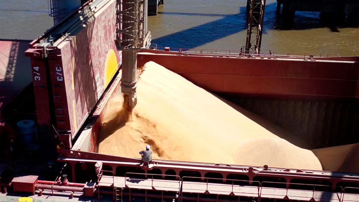 Las exportaciones agroindustriales crecieron 51% en volumen y generaron US$39.813 millones