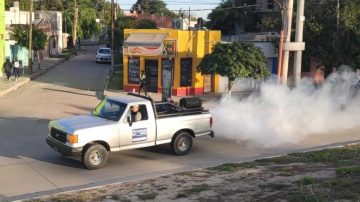 Calidad de Vida de Capital informó su cronograma de fumigaciones para esta semana