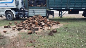 Secuestran 28 toneladas de leña al detectar documentación falsa