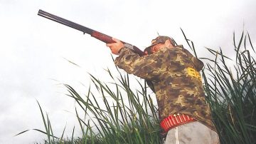 El Senado de Entre Ríos aprueba ley para controlar especies exóticas mediante la caza