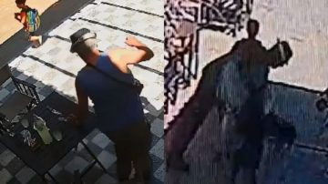 Un hombre que comía en un restaurante se levantó de su silla y mató a cuchillazos a un perro