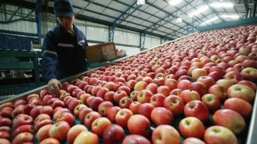 Subieron las exportaciones regionales: alcanzaron en octubre un total de U$S 8.777 millones