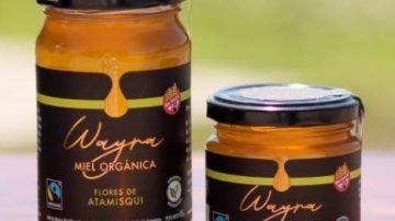 Una miel de flores de Santiago del Estero consiguió el sello de “Indicación Geográfica”