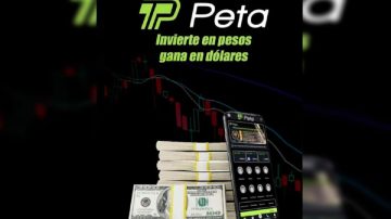 Arruinados: la excarcelación de los líderes de PETA podría caer por falta de dinero para la fianza