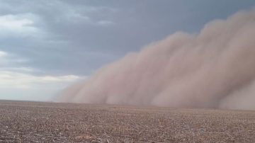Un experto analizó las causas y consecuencias de la impactante Tormenta de Suelo en Sachayoj