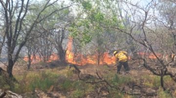 Alarma y preocupación por cinco incendios forestales en simultáneo