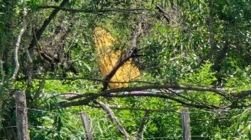 VIDEO. La avioneta del Circo Rodas se precipitó al vacío en Salta: hay dos heridos graves