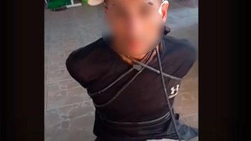 VIDEO: Encontró a un delincuente en su casa, lo redujo, lo ató y lo escrachó