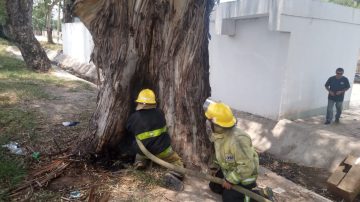 El incendio de un eucalipto en el Tarapaya movilizó a los Bomberos Voluntarios