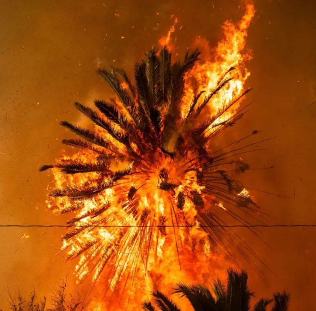 Incendios en Los Ángeles: 4 días de devastación y muerte