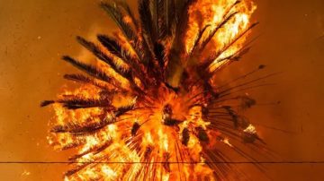 Incendios en Los Ángeles: 4 días de devastación y muerte