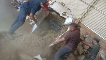 De película: una persecución permitió descubrir un galpón con acopio de marihuana