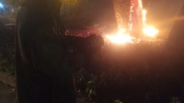 B° Primera Junta: un eucalipto se prendió fuego y corre riesgo de caer sobre el tendido eléctrico