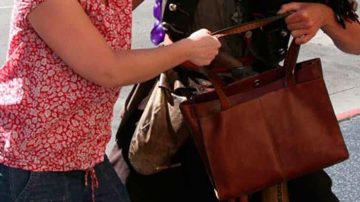 La Coordinadora General del Domo y el Parque del Encuentro fue víctima de un violento arrebato