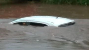 VIDEO. Un conductor cayó dentro del Canal y se salvó de milagro