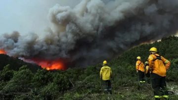 Incendio en Bariloche: más de 4.400 hectáreas arrasadas y focos fuera de control