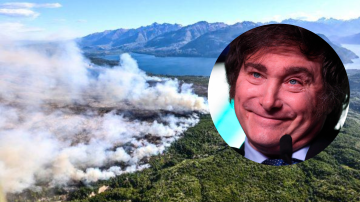 Bosques: La motosierra insensible de Javier Milei