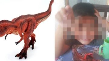 Llamado a la solidaridad: perdieron el juguete de apego de su pequeño con TEA en la costanera y necesita ayuda para recuperarlo