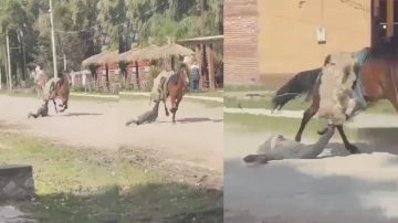 VIDEO: descontrolado caballo arrastró a un niño durante un paseo