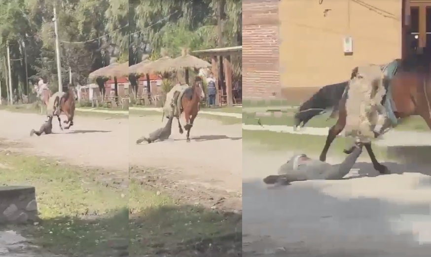 VIDEO: descontrolado caballo arrastró a un niño durante un paseo