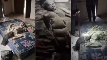 Macabro hallazgo de un cadáver en estado de descomposición