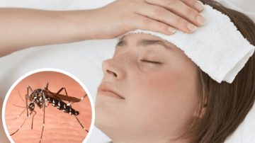 Dengue: qué hacer si viajo a zonas de alto riesgo de contagio