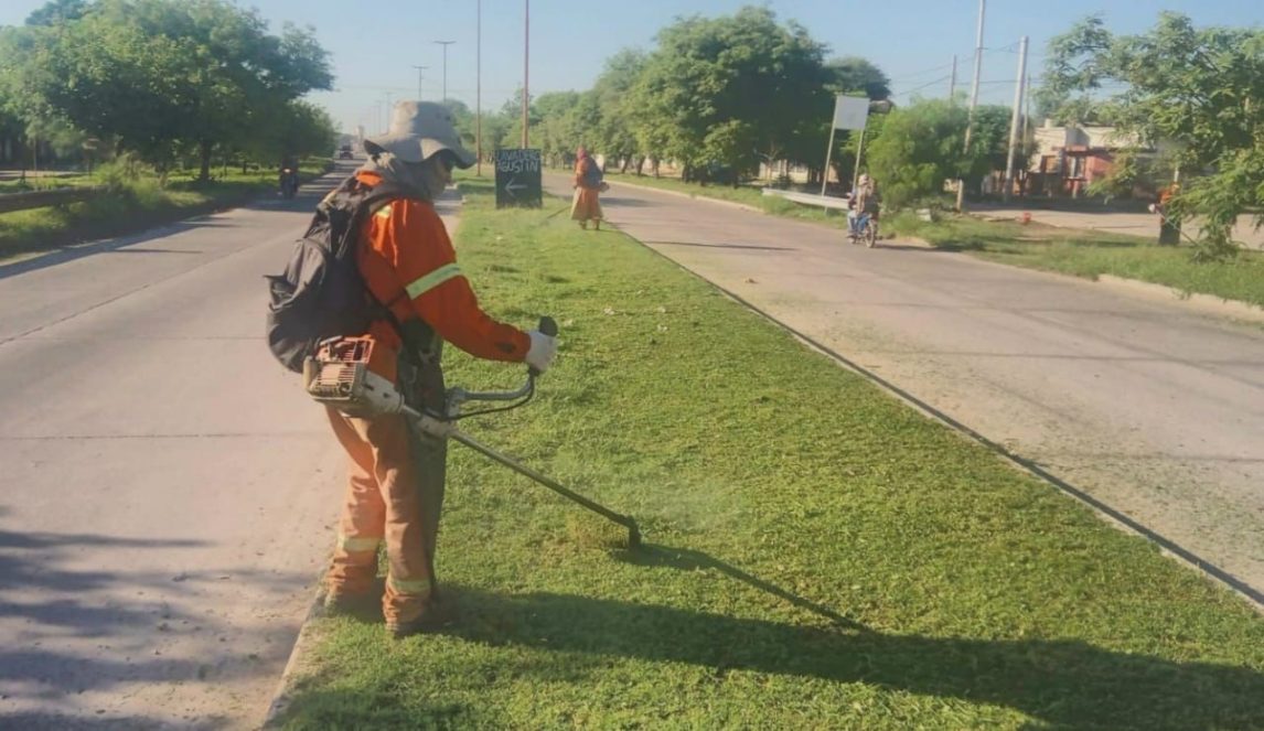 Servicios Urbanos de Capital realizó desmalezamiento en avenida Lugones