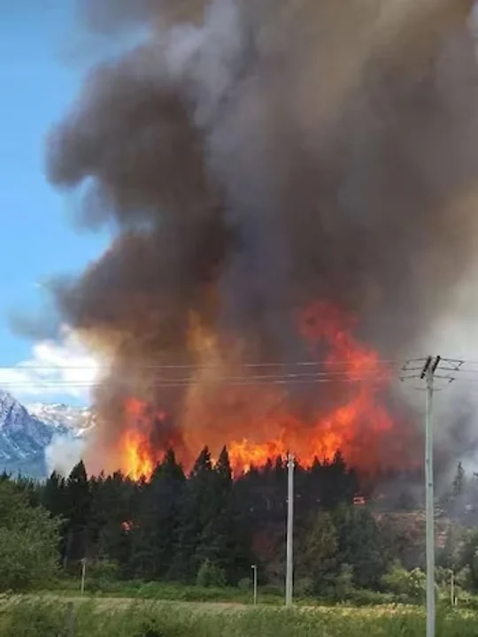Chubut: incendio forestal sigue fuera de control con más de 2.300 hectáreas afectadas