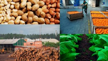 En noviembre, las exportaciones de las economías regionales alcanzaron los USD 8.941 millones