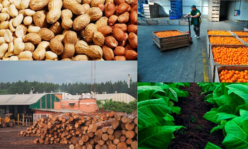 En noviembre, las exportaciones de las economías regionales alcanzaron los USD 8.941 millones