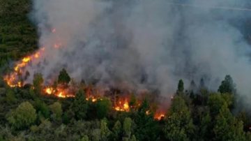 Incendio en el Parque Nacional Nahuel Huapi: más de 3.500 hectáreas arrasadas