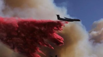 Incendios y devastación en California: suben a 24 los fallecidos en Los Ángeles