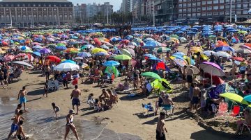 El video que compartió Milei para destacar el éxito de la temporada en Mar del Plata