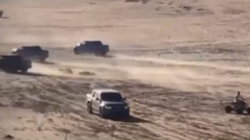 VIDEO SENSIBLE: chica de 19 años atropelló a un niño en Pinamar y se fugó