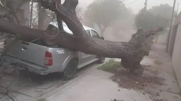 Fuerte temporal en San Luis provocó graves destrozos y cortes de energía
