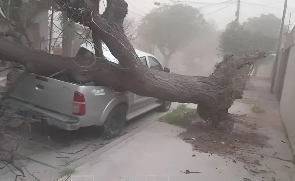 Fuerte temporal en San Luis provocó graves destrozos y cortes de energía