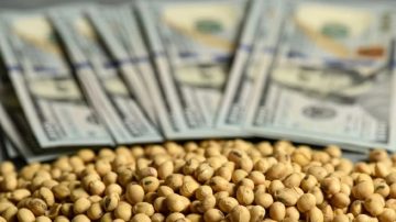 El gobierno volvió a subir las retenciones a la soja y al maíz