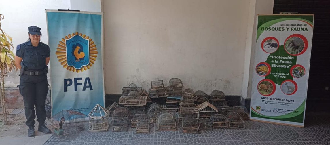 Allanamiento por drogas en La Banda reveló también tráfico ilegal de aves silvestres
