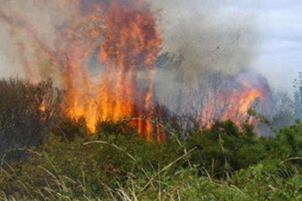 Desesperación en La Banda: incendio de pastizales pone en riesgo a varias viviendas