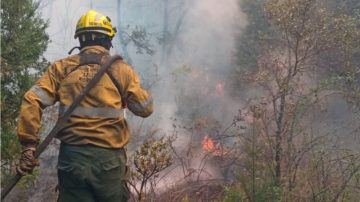 Identificaron a los responsables de los incendios forestales en El Bolsón