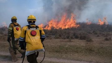 Incendios en Corrientes: falleció una maestra y hay más de 20 mil hectáreas arrasadas
