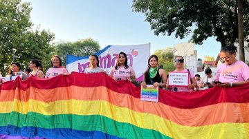 VIDEO: Así fue la marcha “del Orgullo Antifascista” en Santiago del Estero