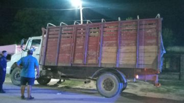 Interceptan a un camión que transportaba vacas de contrabando: el conductor estaba armado