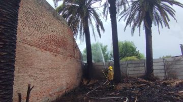 Vecinos intentaban limpiar un patio y el fuego se propagó por el viento