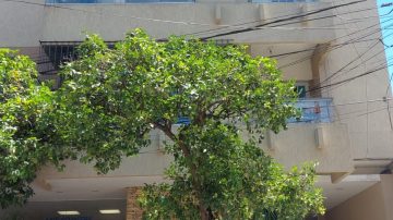 VIDEO: vecinos alarmados por incendio en un departamento del centro santiagueño