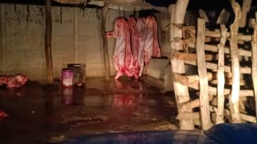 Secuestran 2 toneladas de carne faenada de forma clandestina en el departamento Banda